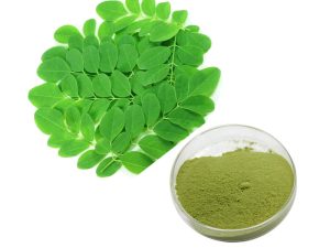 Moringa Leaf Powder