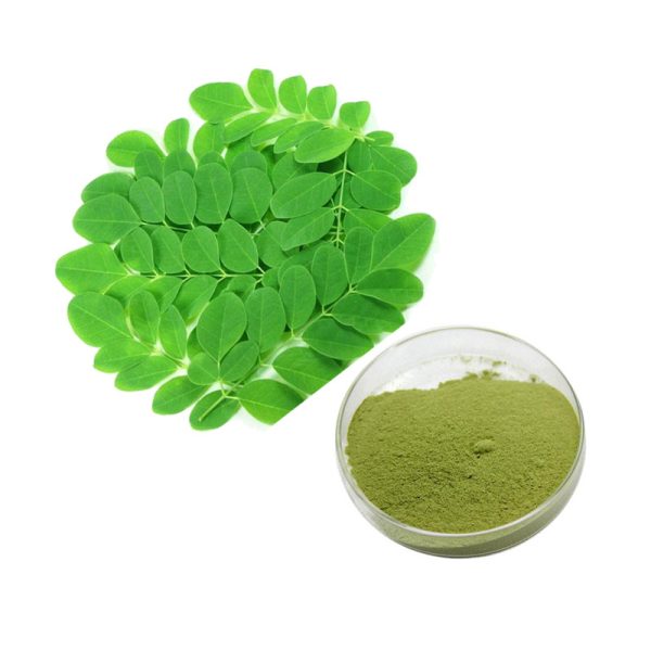 Moringa Leaf Powder