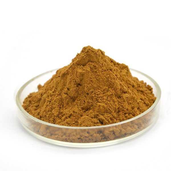 boletus-edulis-extract-powder