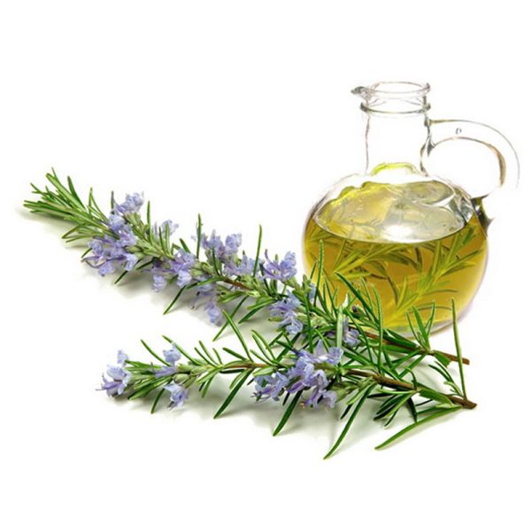 rosemary oil