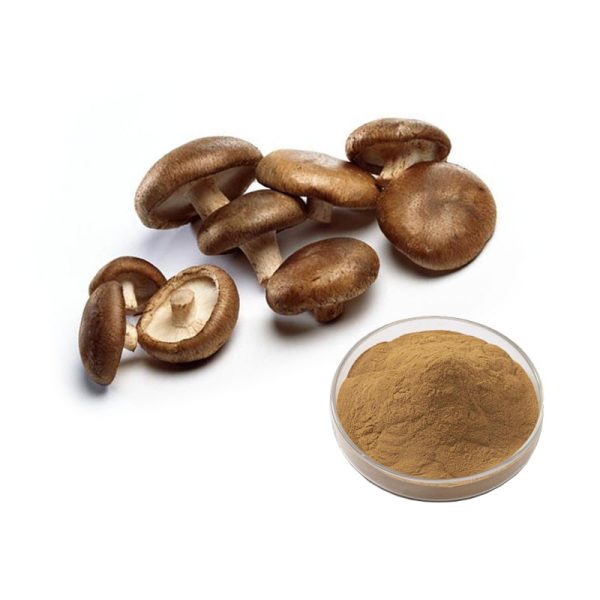 Shiitake Mushroom Extract