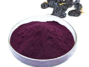 blackcurrant-extract plant colorant pure organic antioxidant