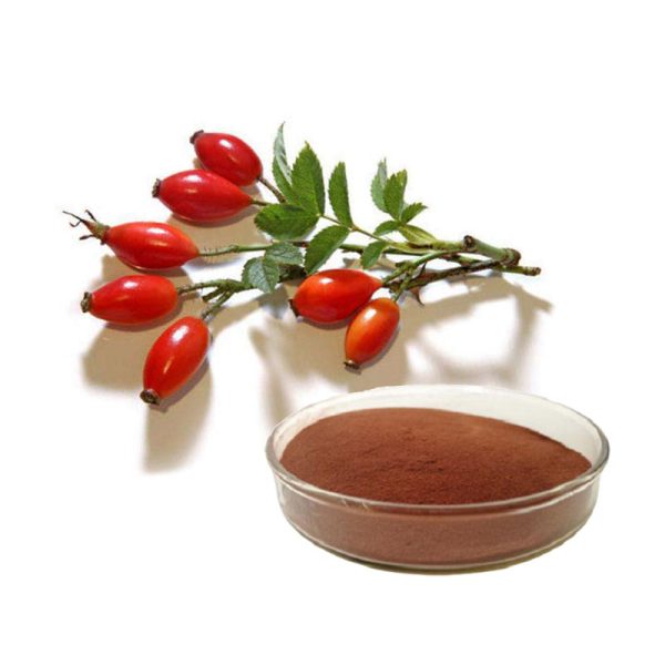 rose hip extract from yohopharm