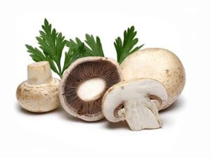 Agaricus-Bisporus-Mushroom-Extract