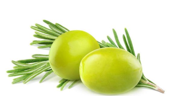 olive fruit