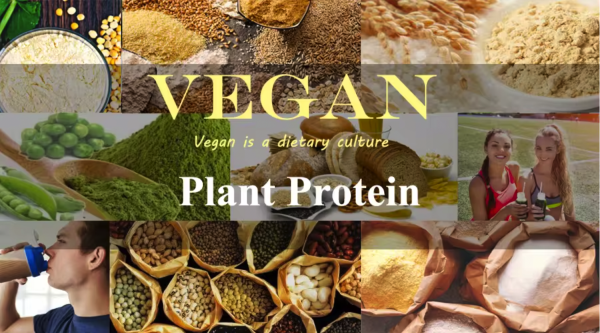 plant protein