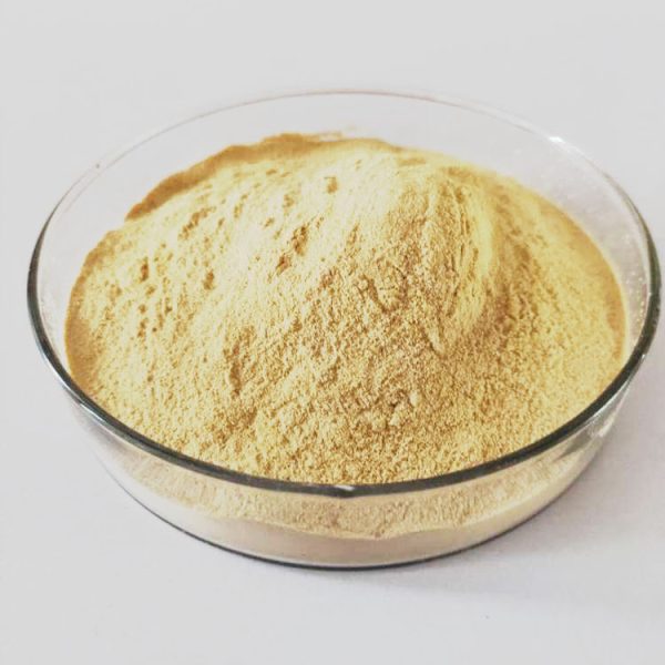 Hypsizygus Marmoreus Mushroom Extract