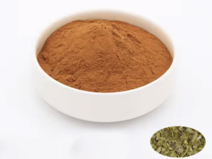 yerba mate extract powder 10:1