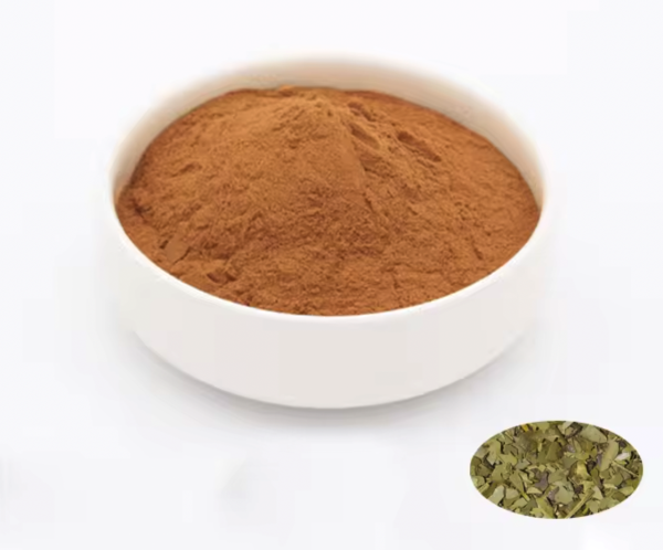 yerba mate extract powder 10:1