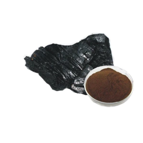 Himalayan Shilajit Resin 1