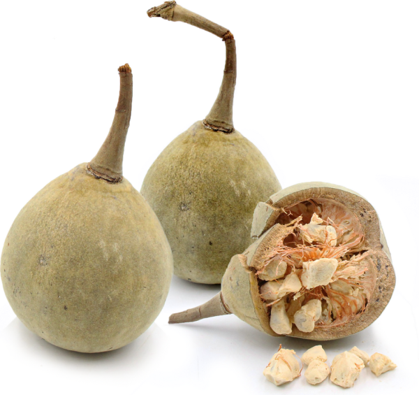 baobab fruit