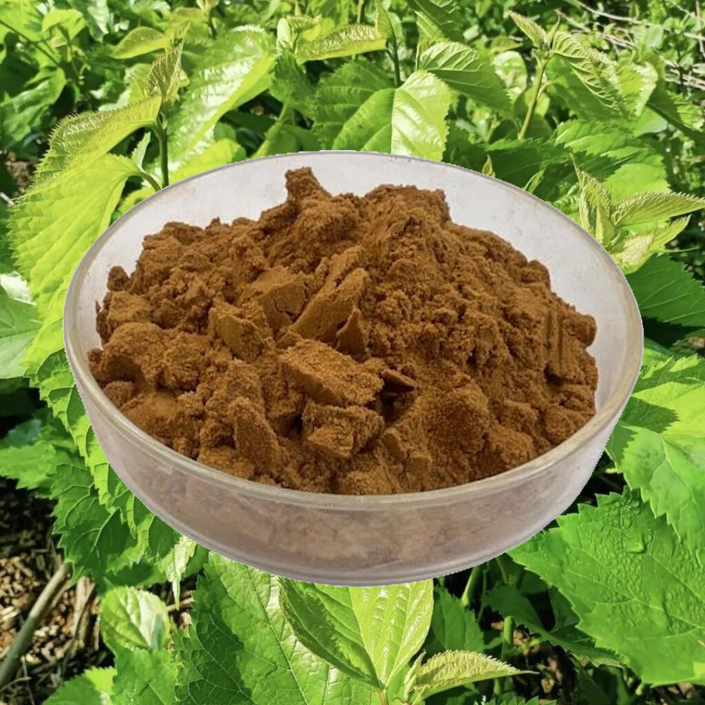 Mulberry Leaf Extract 1-Deoxynojirimycin (1-DNJ)