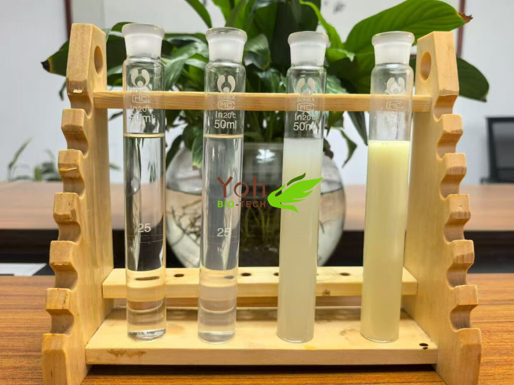 kavalactones kava extract