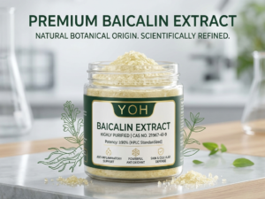Yoh Bio-tech brand Baicalin extract powder in an amber glass jar, showcasing standardized active baicalen crystals for cellular longevity, photoprotection, and anti-inflammatory formulations.