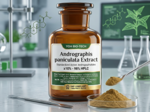 Yoh Bio-tech brand Andrographis paniculata extract powder in an amber glass jar, showcasing standardized andrographolides for immune system resilience and respiratory health.